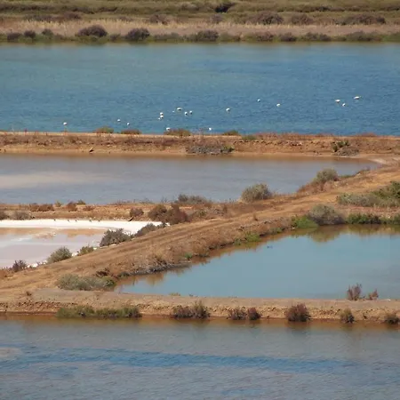 Appartement Ricardo Rolao Vista Mar - Edificio Oasis - Bedrooms District de Faro